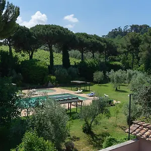 Frascati Appartamento Grottaferrata